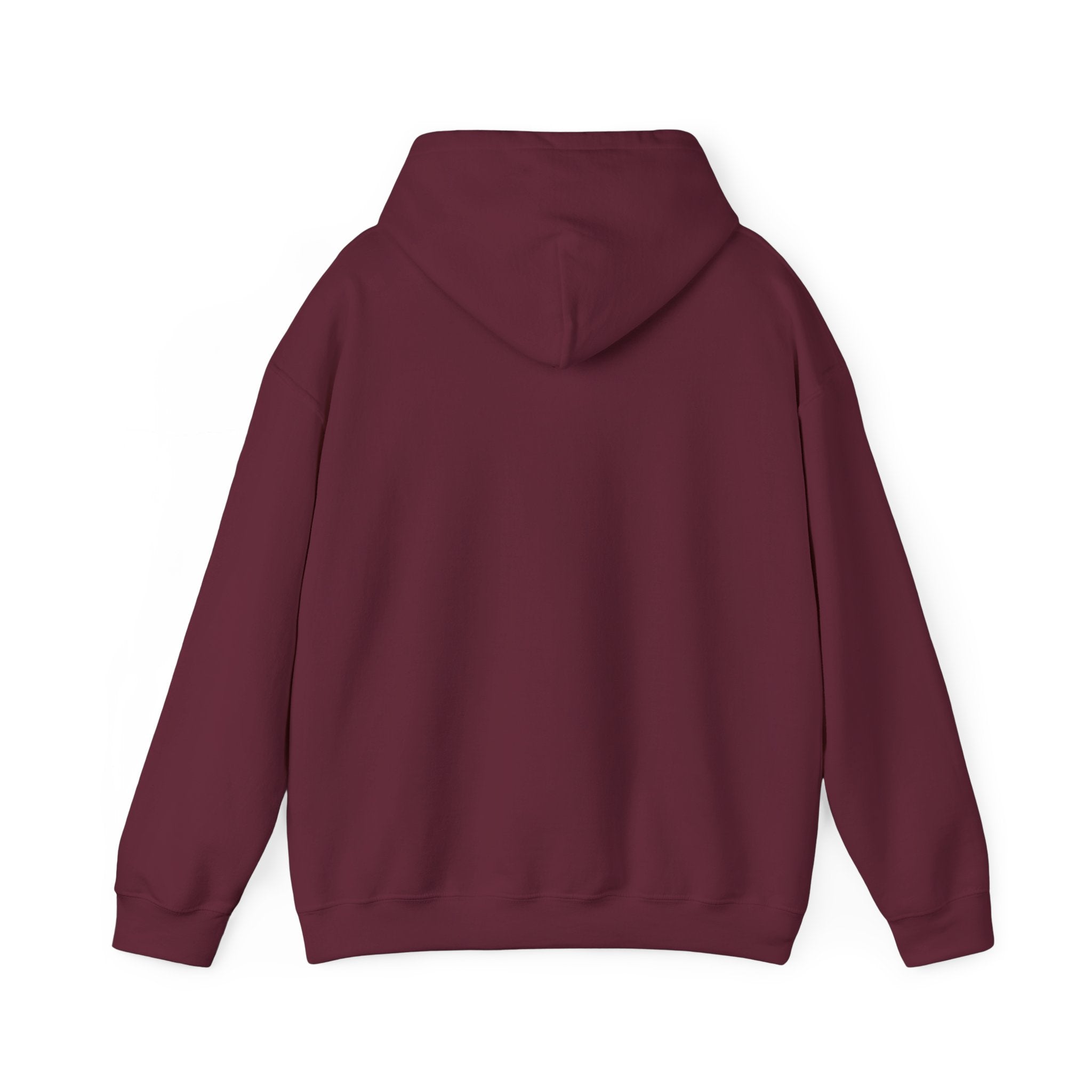 SIDE OUT CENTRAL HOODIE
