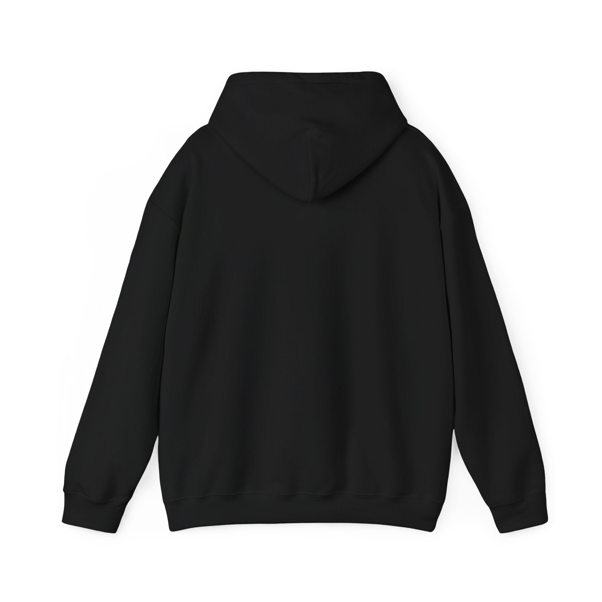 SIDE OUT CENTRAL HOODIE