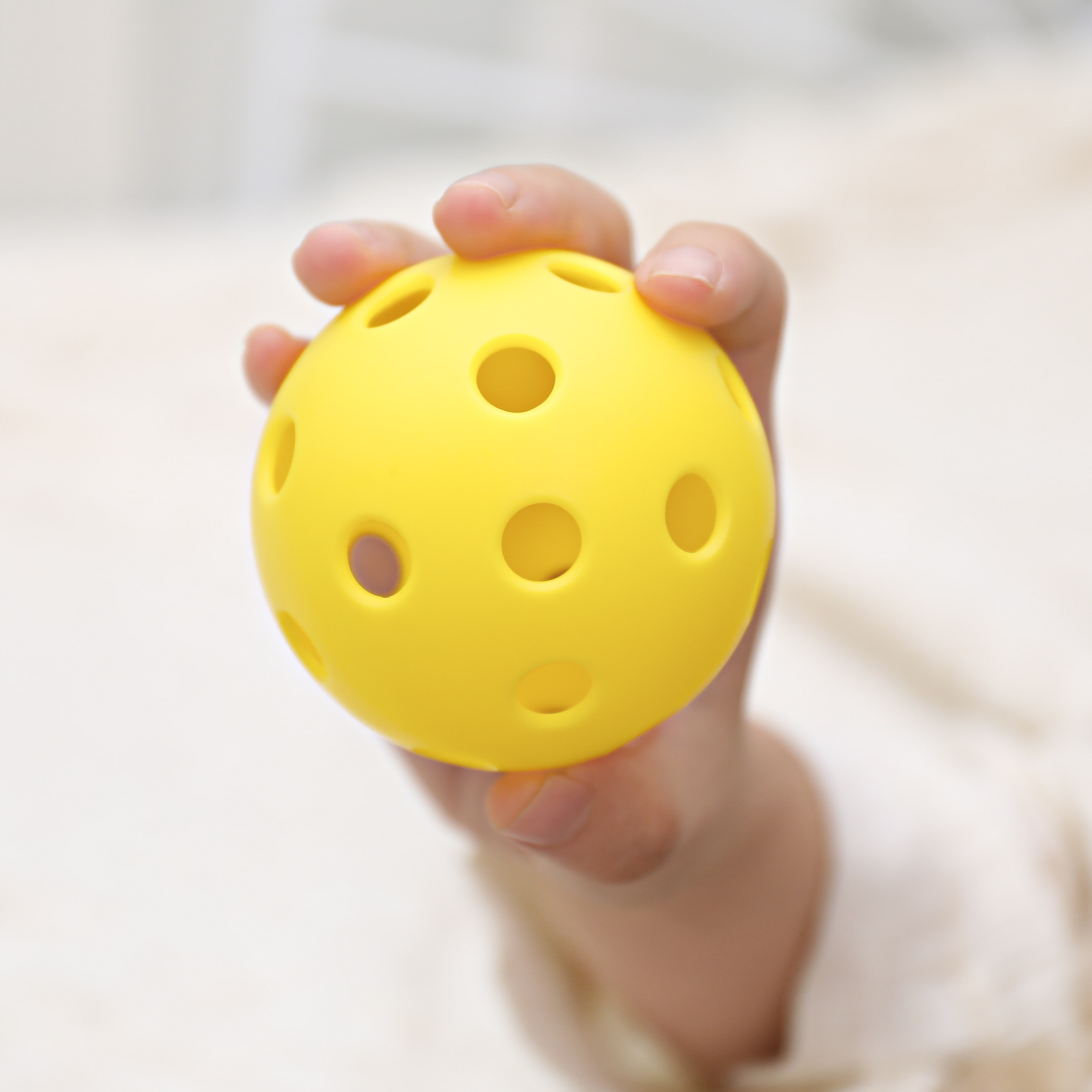 ARTI Indoor Pickleball